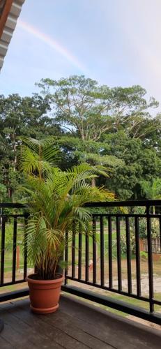 Cabana Bungalow in Tela
