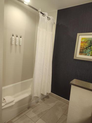Fairfield by Marriott Inn & Suites Gainesville I-35 - 화장실