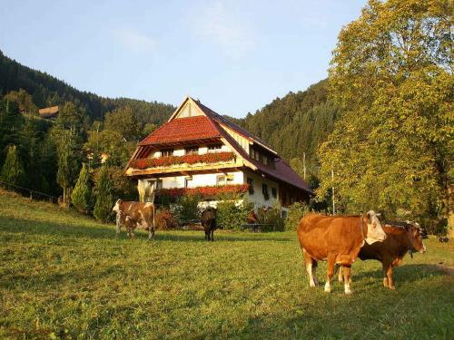 Unterer Gurethshof - Apartment - Zell am Harmersbach