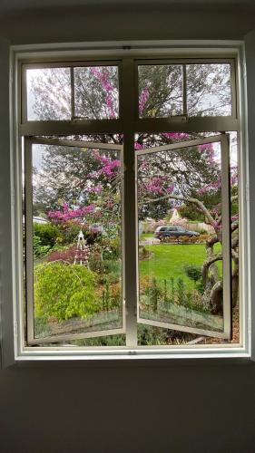 Picture Perfect in the heart of the Village, Greytown (fotografie 7)