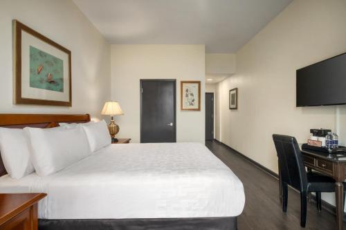 Le Richelieu Hotel - image 5