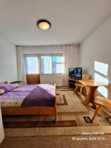 U Tylki Studio z widokiem na góry, PARKING GRATIS, Zakopane (Foto 10)