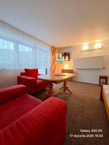 ห้องส่วนกลางสำหรับนั่งเล่น/ดูทีวี, U Tylki Studio z widokiem na góry, PARKING GRATIS (U Tylki Studio z widokiem na gory, PARKING GRATIS) in กเชปตูฟก์