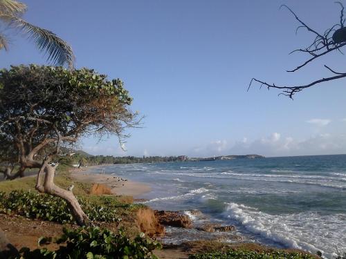 Nearby attraction, Posada Casa Las Trinitarias in Margarita Island