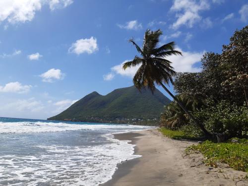 "Studio Bellevue" Terrasse et Deck vue mer-Accès piscine "Studio Bellevue" Terrasse et Deck vue mer-Accès piscine