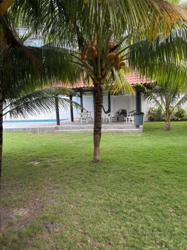 منظر, Boni Beach in Los Cobanos