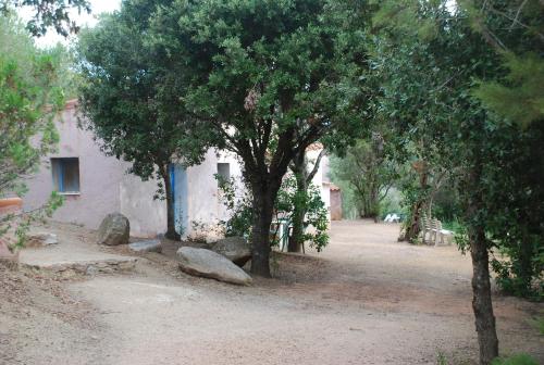 Residence Ribellinu - image 5