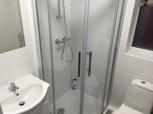 Twelve Apartments - image 9