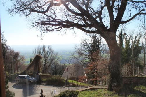 Sogni d'Assisi – Assisi, CT