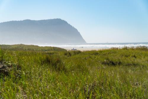 Sandpiper Cottage SC - image 12