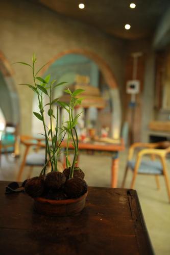 편의 시설/서비스, Olinda Galle in 갈레