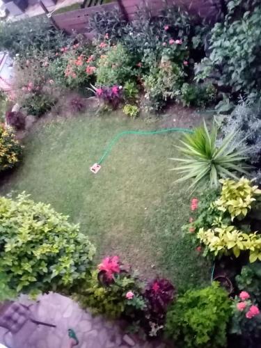 MARYS HOUSE