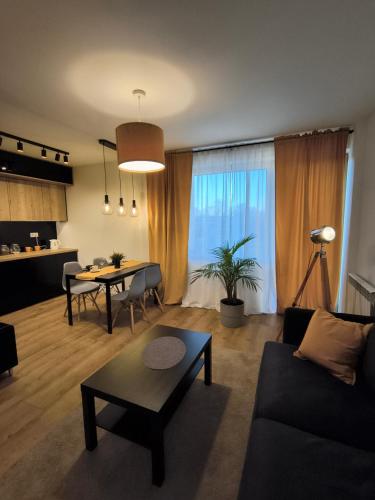 Tabago Studio 25 Zduńska Wola, Srebrna (Tabago Studio 25 Zdunska Wola, Srebrna) in Zdunska Wola