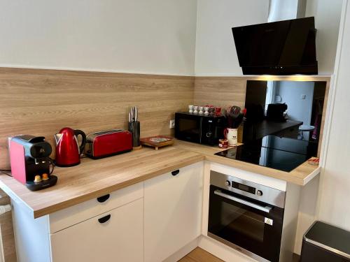 Gîte 2 à 8 personnes style chalet avec garage privé et jardin (Gite 2 a 8 personnes style chalet avec garage prive et jardin) in La Bresse