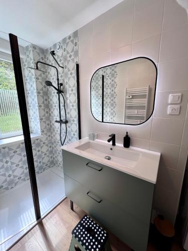 Fürdőszoba, Gîte 2 à 8 personnes style chalet avec garage privé et jardin (Gite 2 a 8 personnes style chalet avec garage prive et jardin) in La Bresse