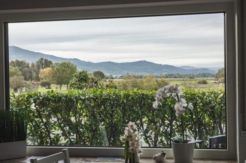 View, Pension Nickel Ferienwohnung EG Am Holzlachgraben in Alsbach