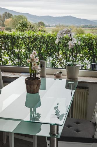 View, Pension Nickel Ferienwohnung EG Am Holzlachgraben in Alsbach