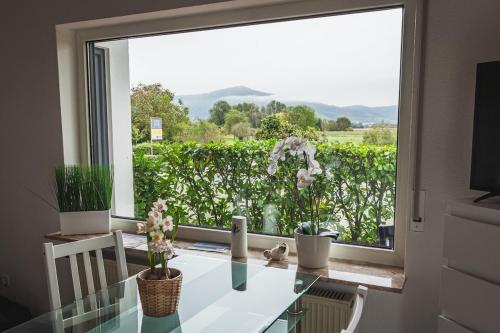 View, Pension Nickel Ferienwohnung EG Am Holzlachgraben in Alsbach