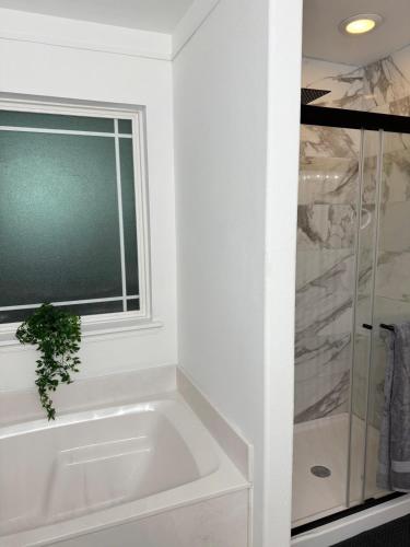 The Cozy Haven The Cozy Haven