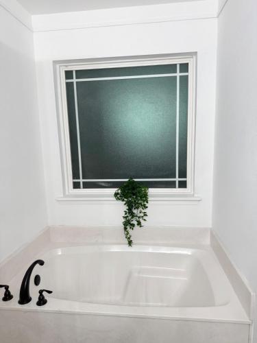 The Cozy Haven The Cozy Haven