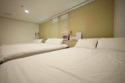 Manso Hostel in DDP - image 2