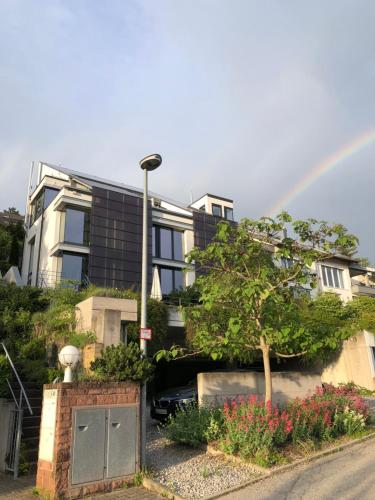 Apartment "Green Bamboo" - Business-30 qm-ruhig-Parkplatz-Arbeitsplatz in Leonberg, Deutschland