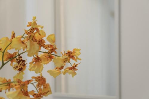 Regina Margherita II - 50 m dal mare, WI-FI e aria condizionata