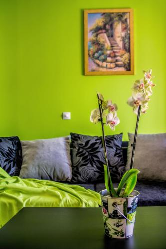 Guest House Nena Rastoke - image 9