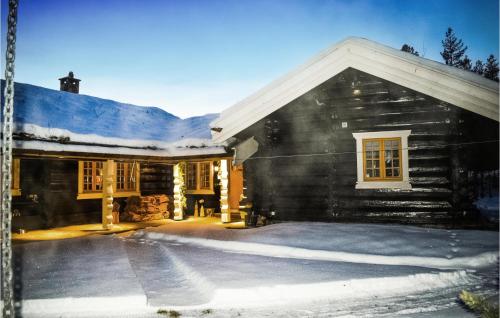 Exterior view, Awesome Home In Hemsedal With Sauna in Hemsedal