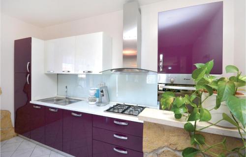 virtuve, Four-Bedroom Apartment In Srinjine in Srinjine
