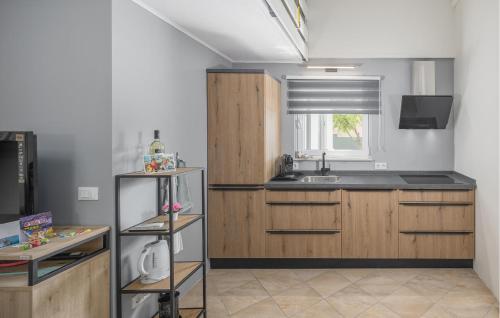 virtuve, Cozy Apartment In Micetici With Wifi in Zbandaj