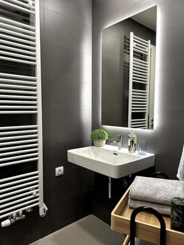Viktoria Suite N6 with Garage & Balcony, Praga (foto 8)