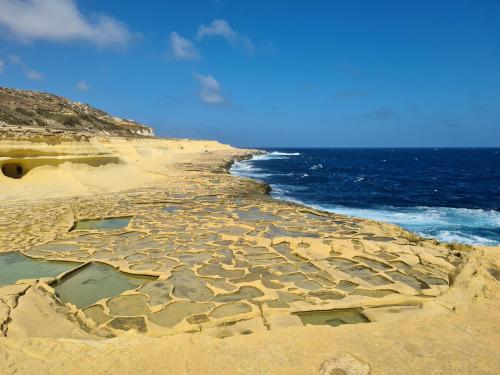 Richard's Living Richard's Living