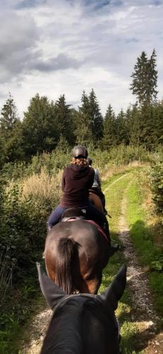 ขี่ม้า, Apartments ideaCasa in กันซ์บวร์ก