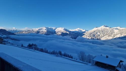  Zillertaler Sennhuette in Hart im Zillertal