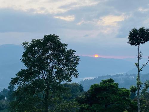 格林驰美景民宿