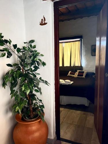 숙소 외관, Solar de la Quebrada in 우마와카