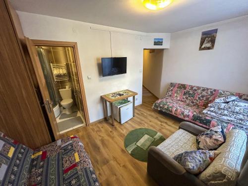1 twin bed, 2 sofa beds