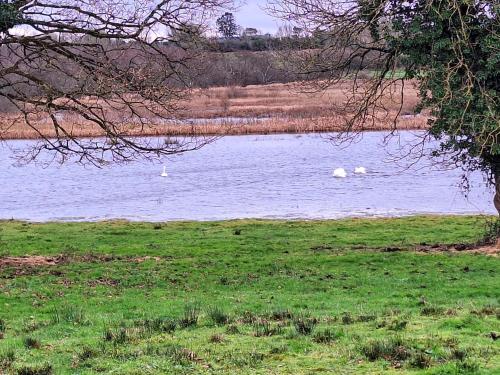 Lough Lea House, Bunnamuca in Strokestown