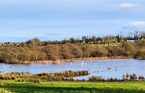 Lough Lea House, Bunnamuca in Strokestown
