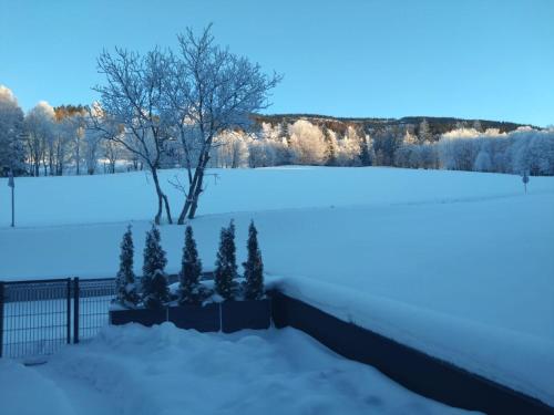 Pemandangan, Apartman terasa v Dole in Cerny Dul