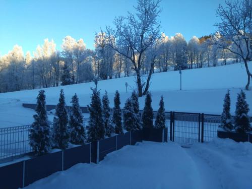 Pemandangan, Apartman terasa v Dole in Cerny Dul