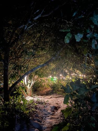 Навколишнє середовище, Casa Danam in Джордан