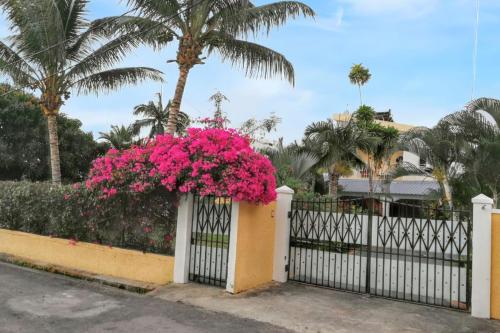 Charming studio in Flic en Flac with enclosed garden, 25m², Flic-en-Flac (photo 7)
