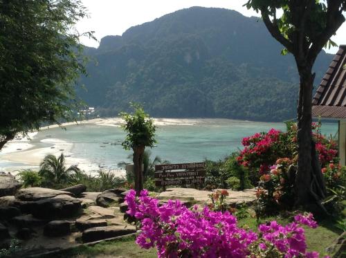 Sports and activities, Coco's Guesthouse in Ko Phi Phi