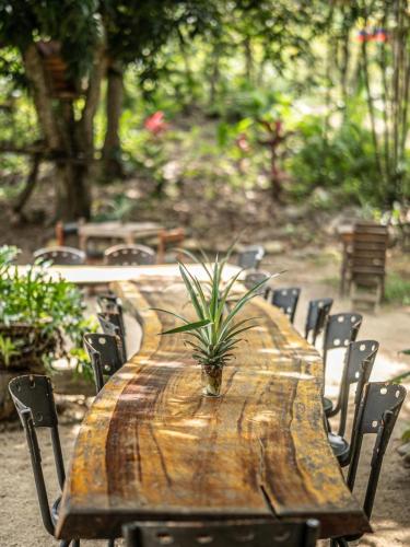 Ресторан, Casa Danam in Джордан