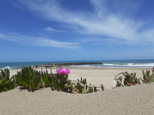 Beach, Alquiler Temporada, Mar del Plata Disponible Febrero in Barrio Zacagnini