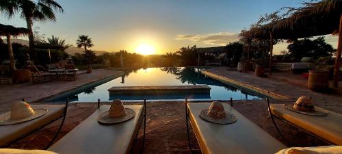 Les Jardins de Taja Les Jardins de Taja