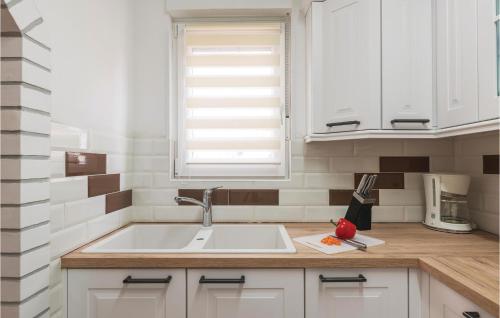 virtuve, Holiday Home Krnica 219 in Hreljici