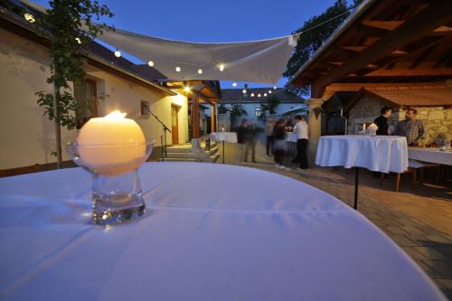 Dārzs, Zsirai Guest House in Mád